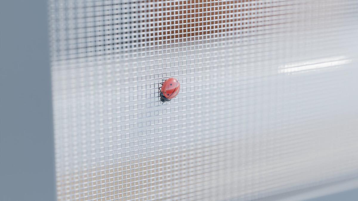 Coccinella su una zanzariera in acciaio inox davanti a una finestra